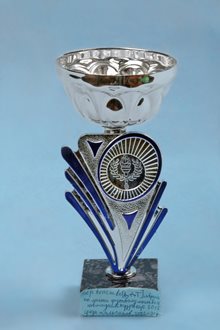 Первенство по мини-футболу. Новогодний турнир 2012 среди мальчиков 2002-2003 г.р.